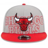 Gorra Chicago Bulls 2023 NBA Draft 9FIFTY Snapback Gris Rojo