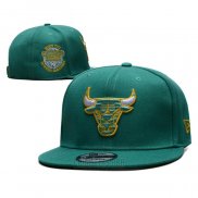 Gorra Chicago Bulls 9FIFTY Verde