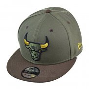 Gorra Chicago Bulls 9FIFTY Snapback Verde