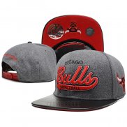 Gorra Chicago Bulls Mitchell & Ness Gris Rojo